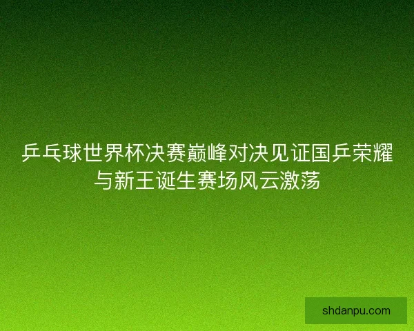 乒乓球世界杯决赛巅峰对决见证国乒荣耀与新王诞生赛场风云激荡