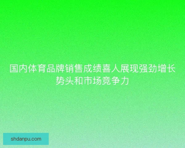 国内体育品牌销售成绩喜人展现强劲增长势头和市场竞争力